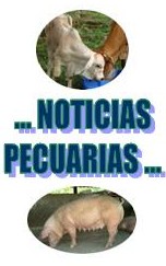 foto autor